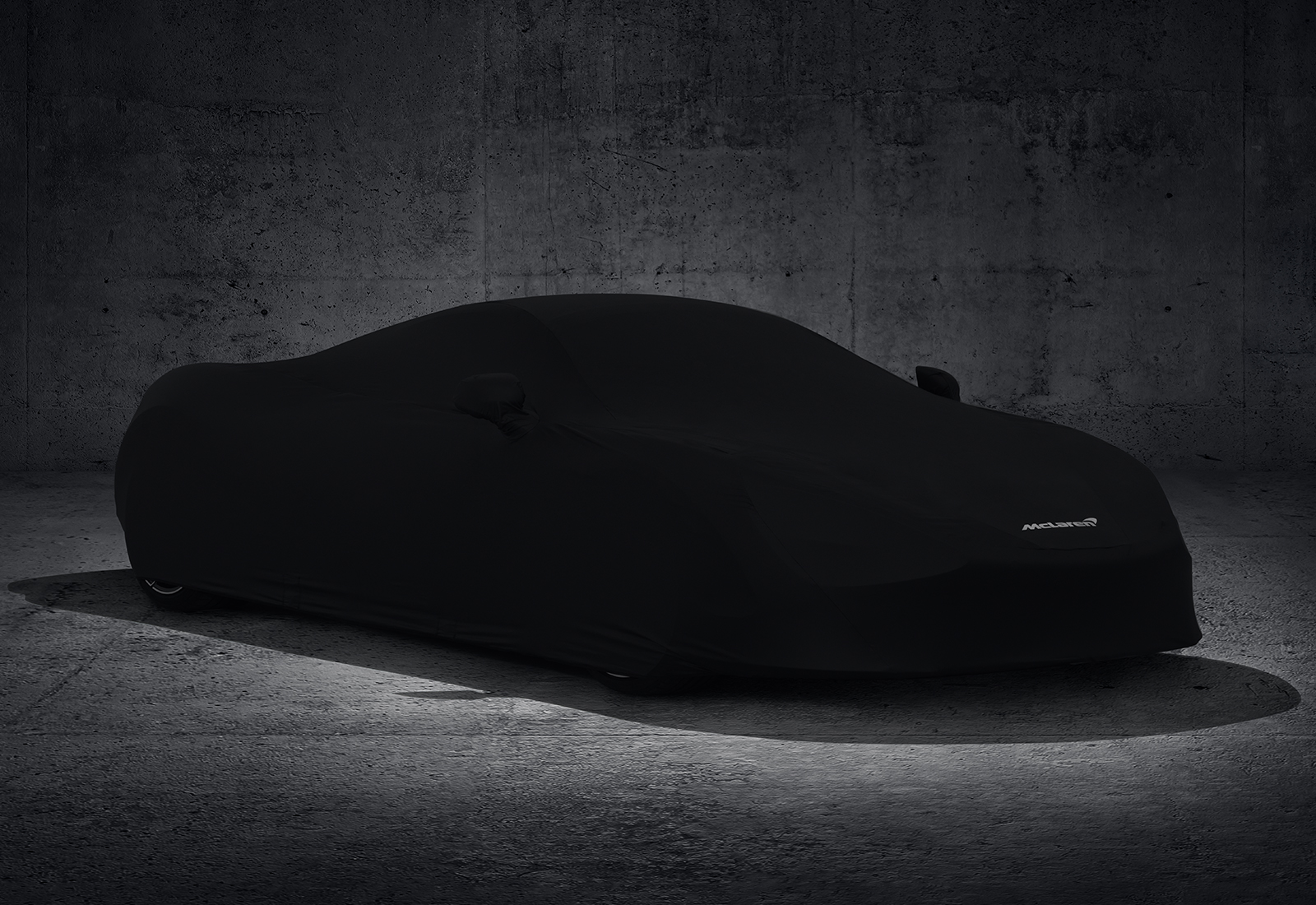 indoor car cover